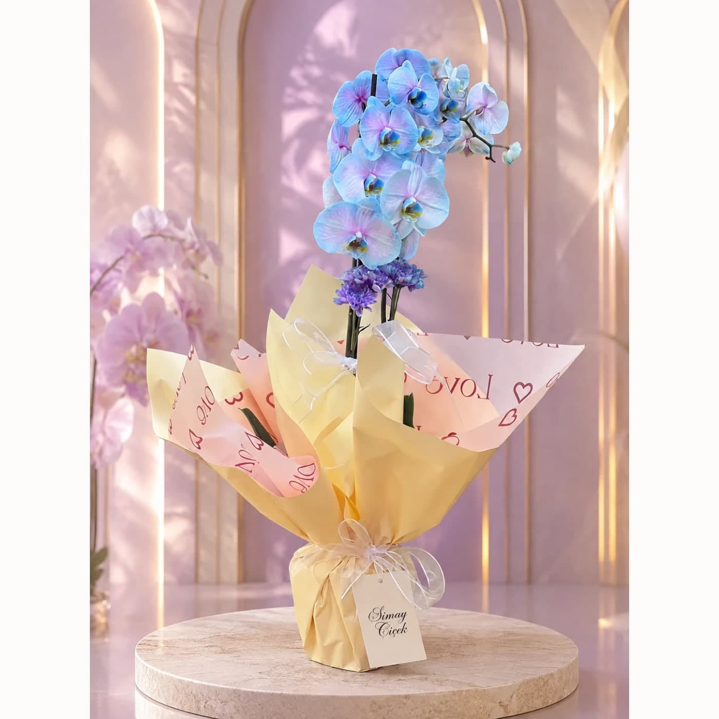 Pastel Rüya Phalaenopsis Orkide Aranjmanı